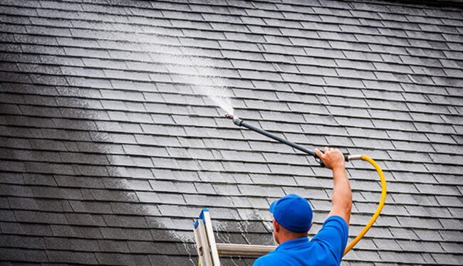 best roof cleaning company near me