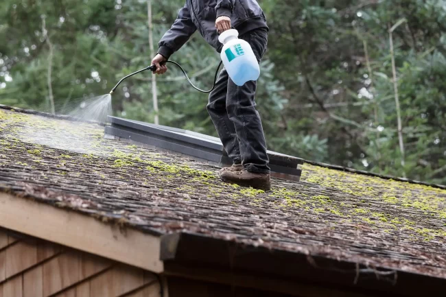 best roof cleaning company near me