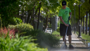 How much to pressure wash a driveway and sidewalk