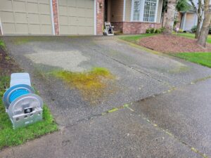 Pressure washer driveway moss