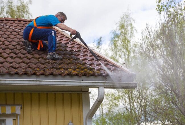 gutter cleaning Abbotsbury