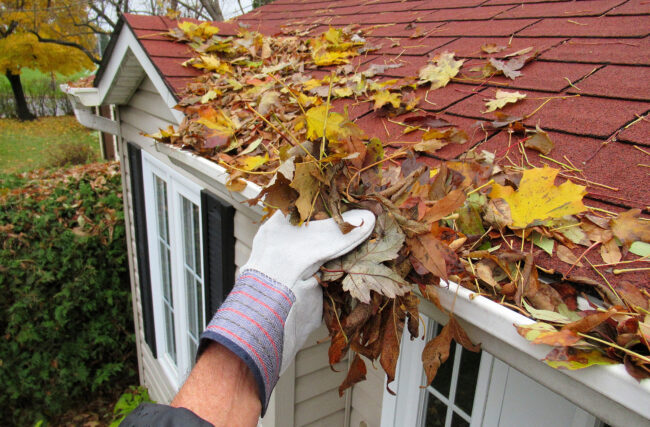 gutter cleaning cost Abbotsbury