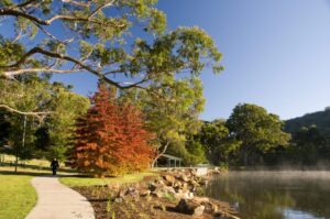 Fence cleaning Mittagong