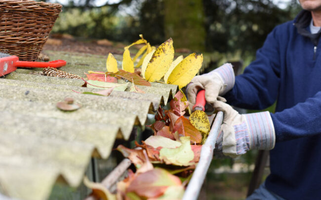 Gutter cleaning Bowral