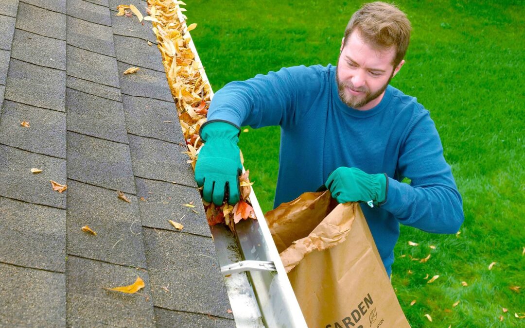 Gutter cleaning Gordon