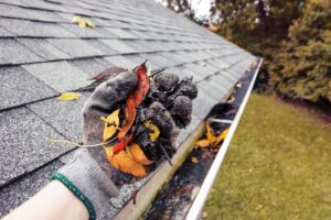 Gutter cleaning Mittagong