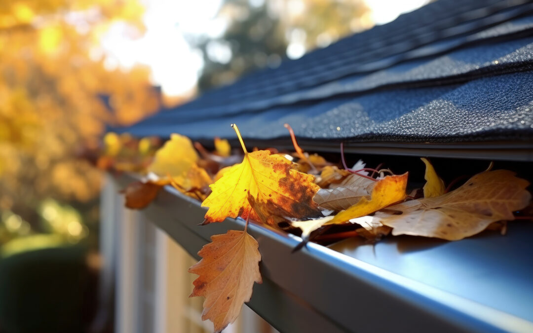 Gutter cleaning Wahroonga