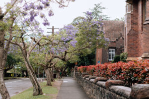 Gutter cleaning prices Wahroonga