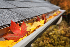 Gutter cleaning Wollongong