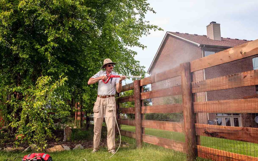 Fence Cleaning Abbotsbury