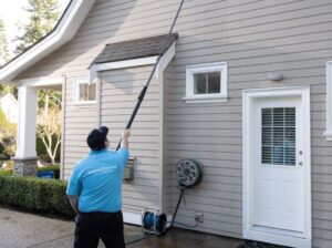 exterior house washing sydney