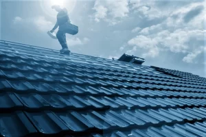 roof cleaning experts sydney