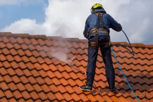 roof cleaning sydney