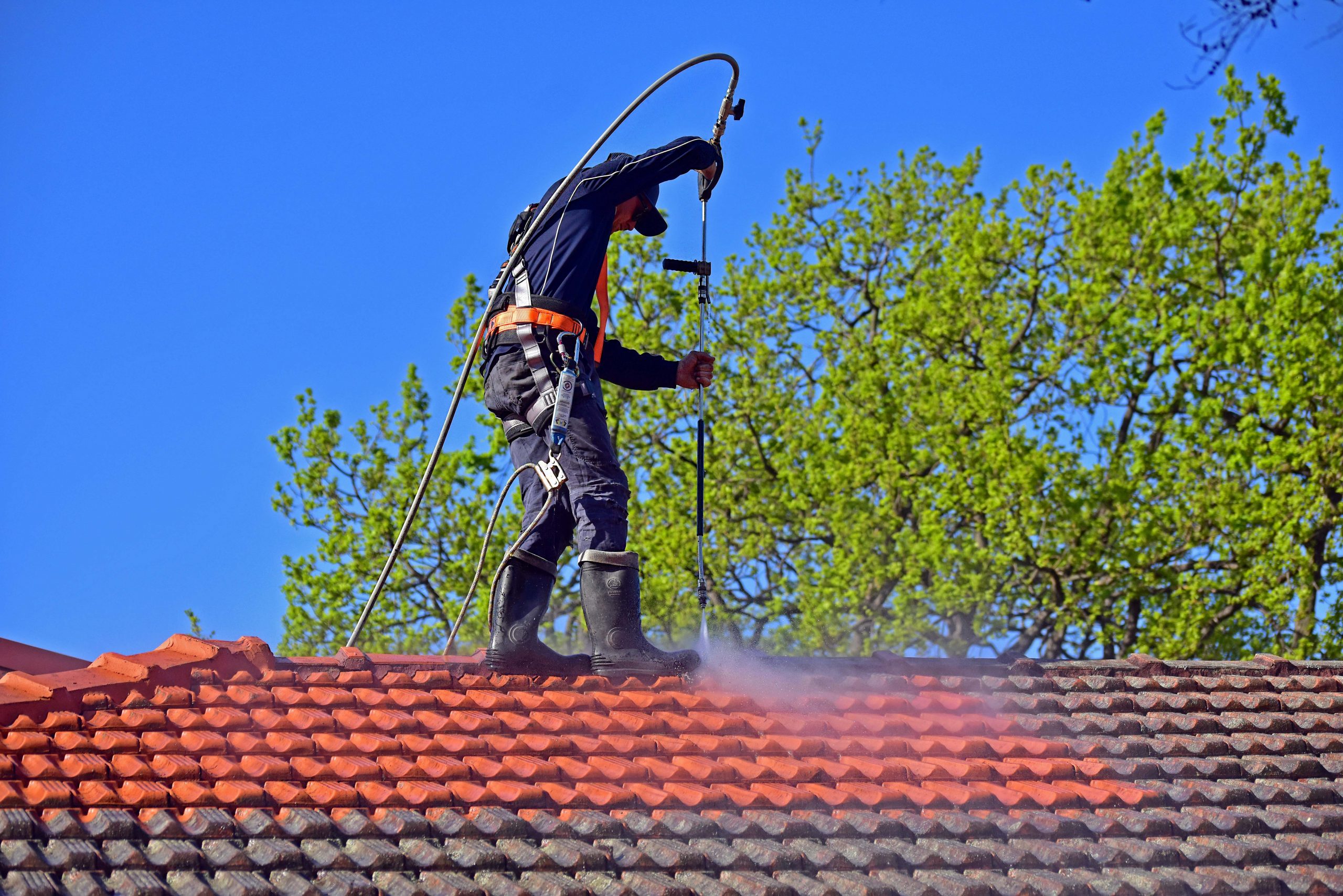 Fence cleaning Sydney