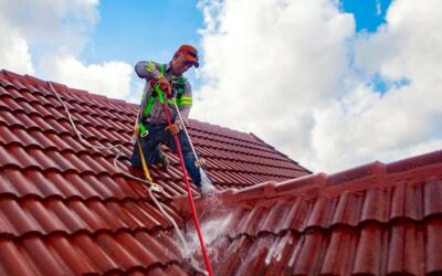 terracotta roof tile cleaning sydney